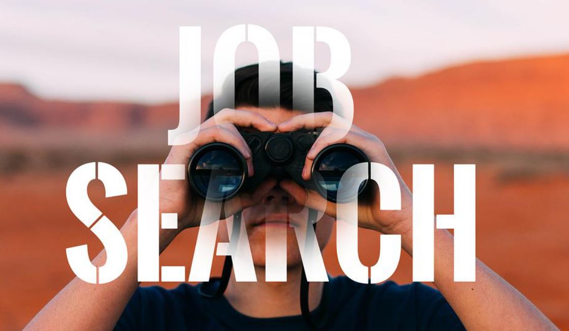 hledání práce